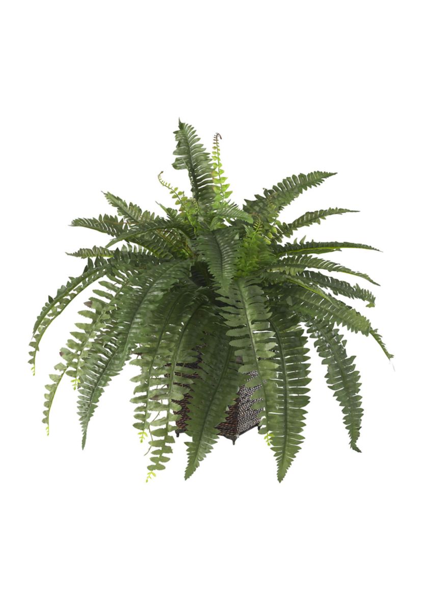 Boston Fern Silk Plant with Wicker Basket 