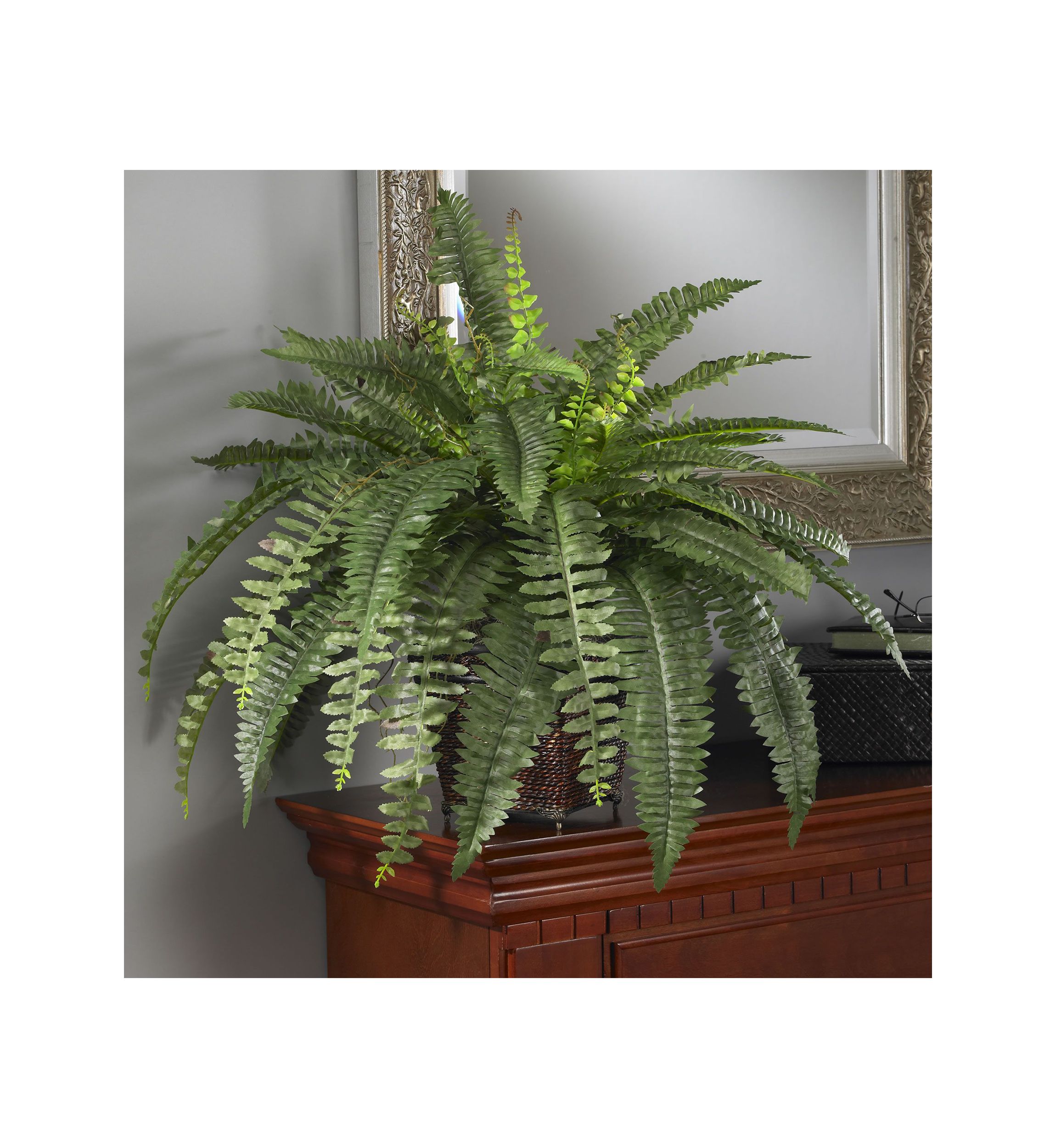 Boston Fern Silk Plant with Wicker Basket 