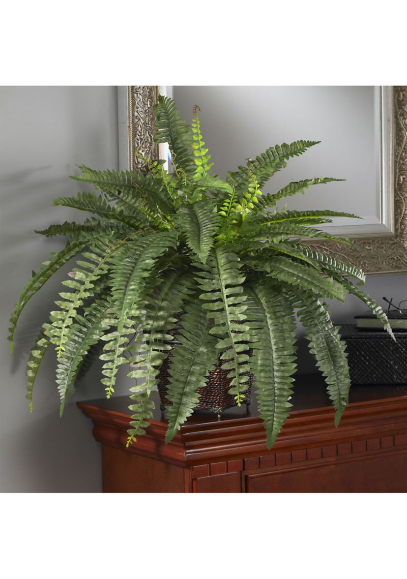 Boston Fern Silk Plant with Wicker Basket 