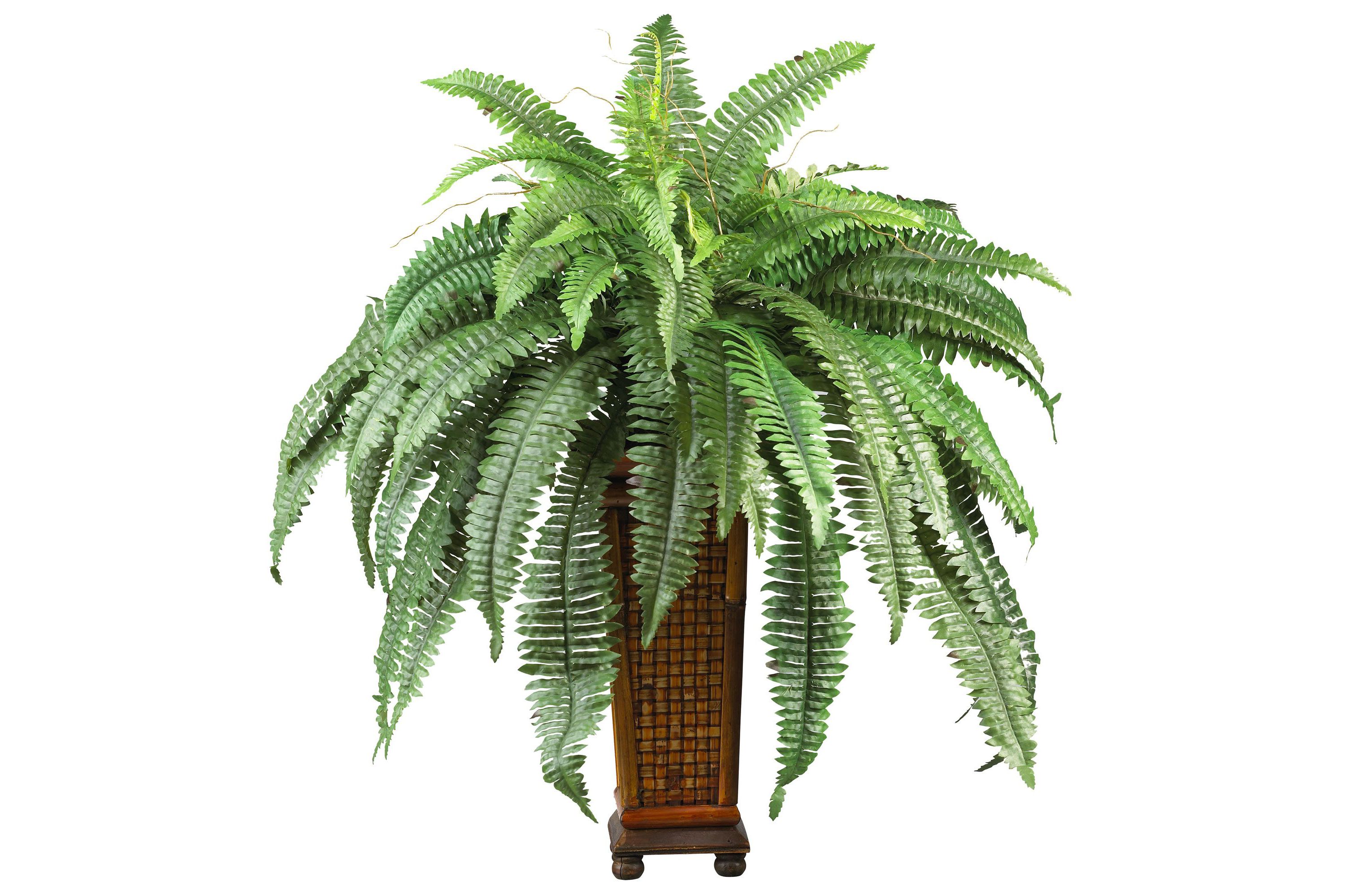 Boston Fern with Wood Vase Silk Plant