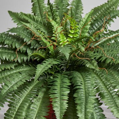 Boston Fern with Wood Vase Silk Plant