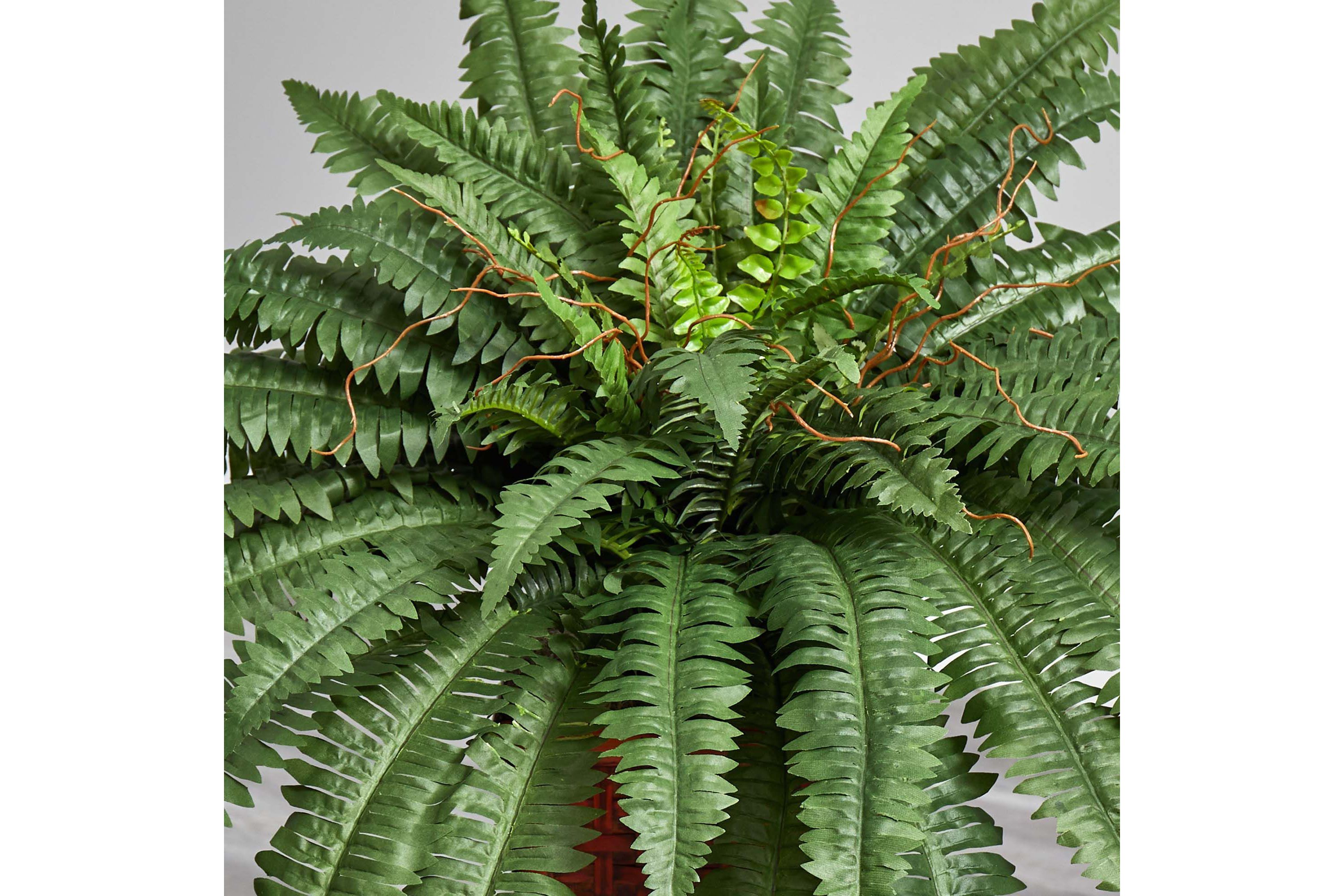 Boston Fern with Wood Vase Silk Plant