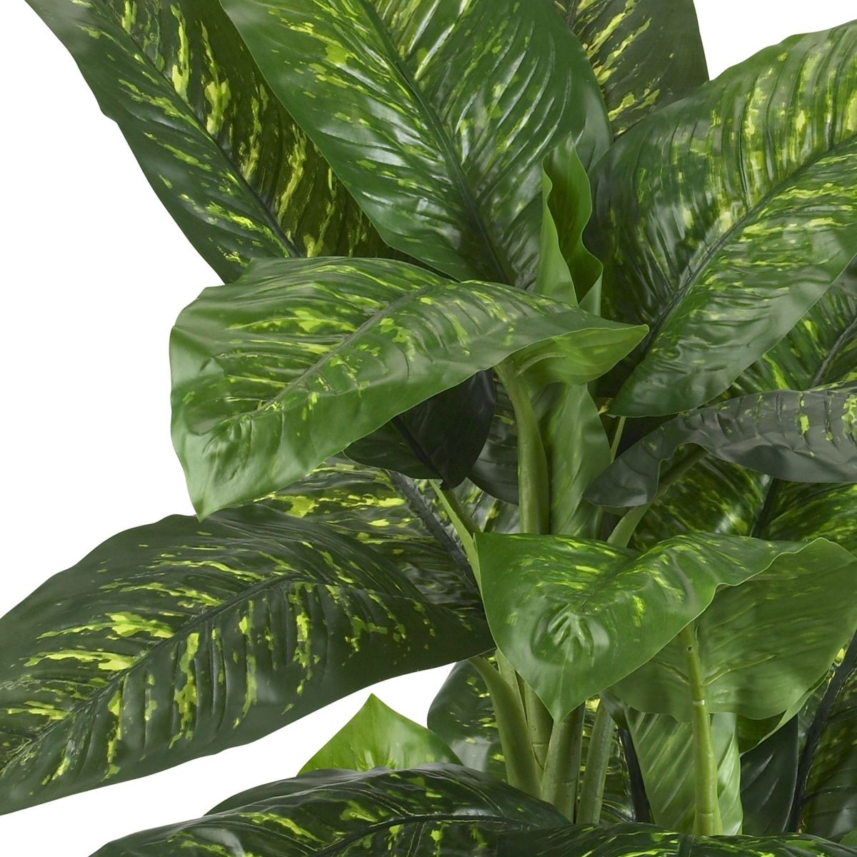 5 Dieffenbachia Silk Plant (Real Touch)