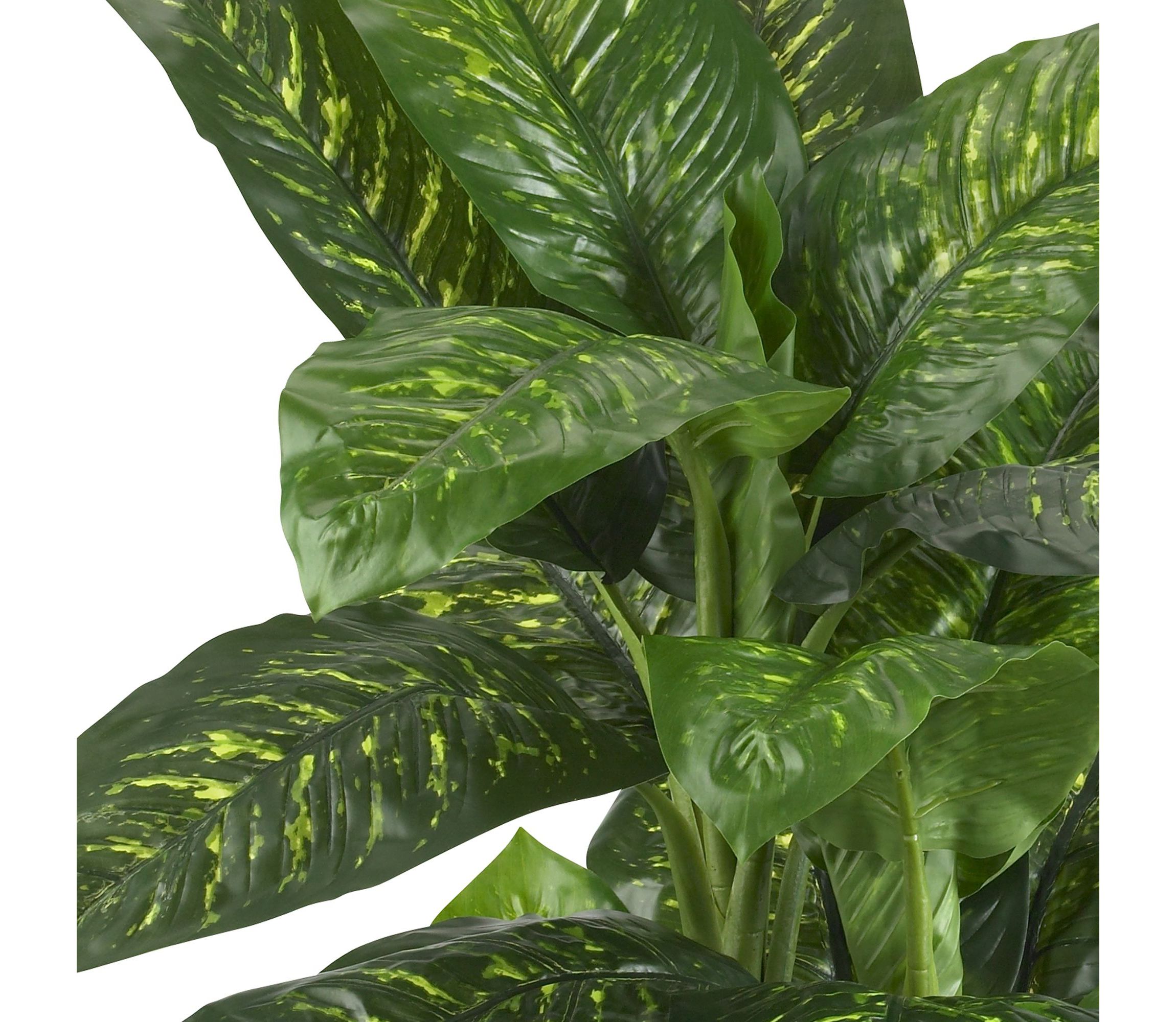 5 Dieffenbachia Silk Plant (Real Touch)