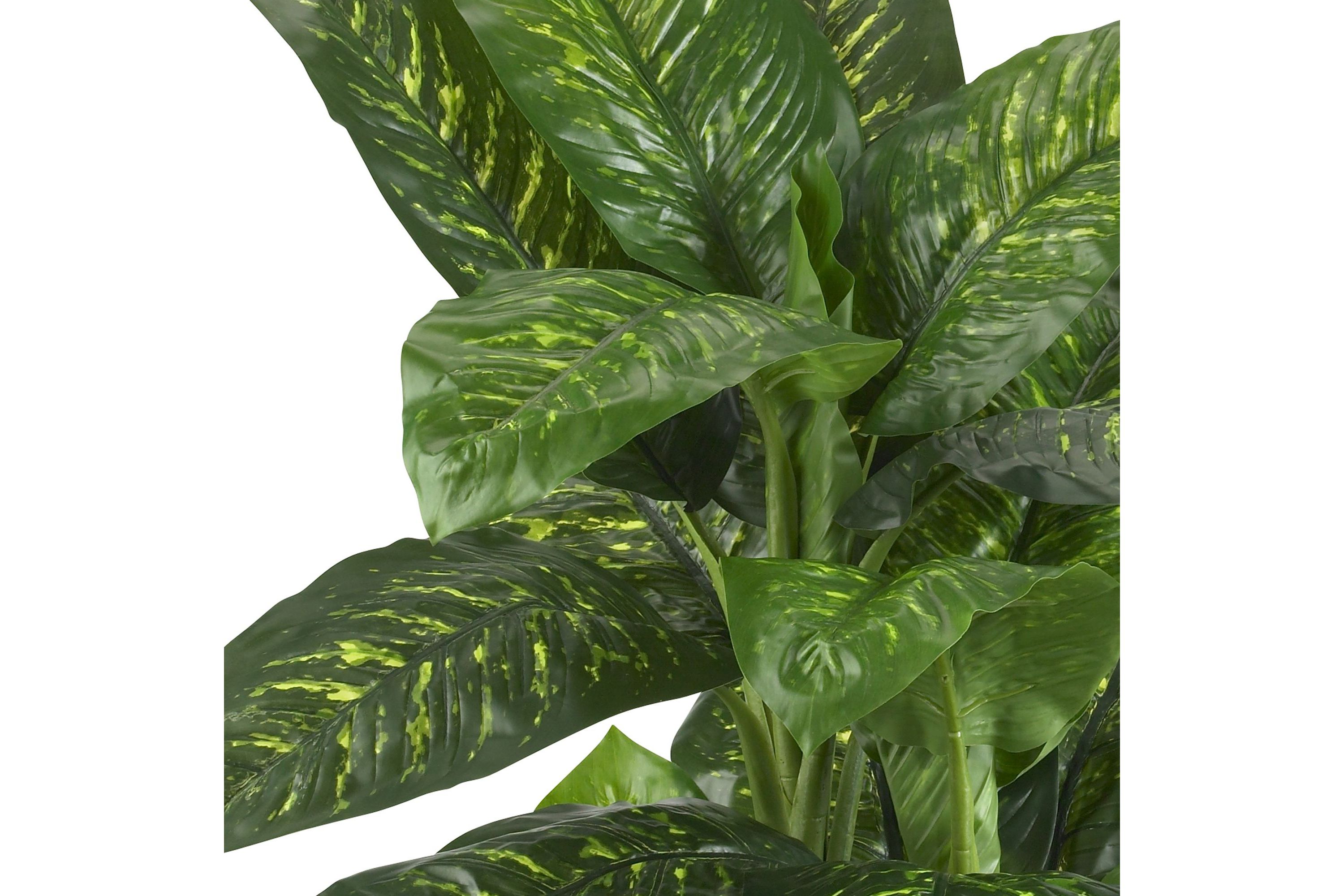 5 Dieffenbachia Silk Plant (Real Touch)