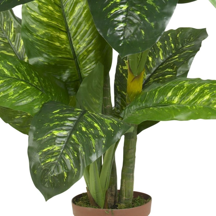 5 Dieffenbachia Silk Plant (Real Touch)