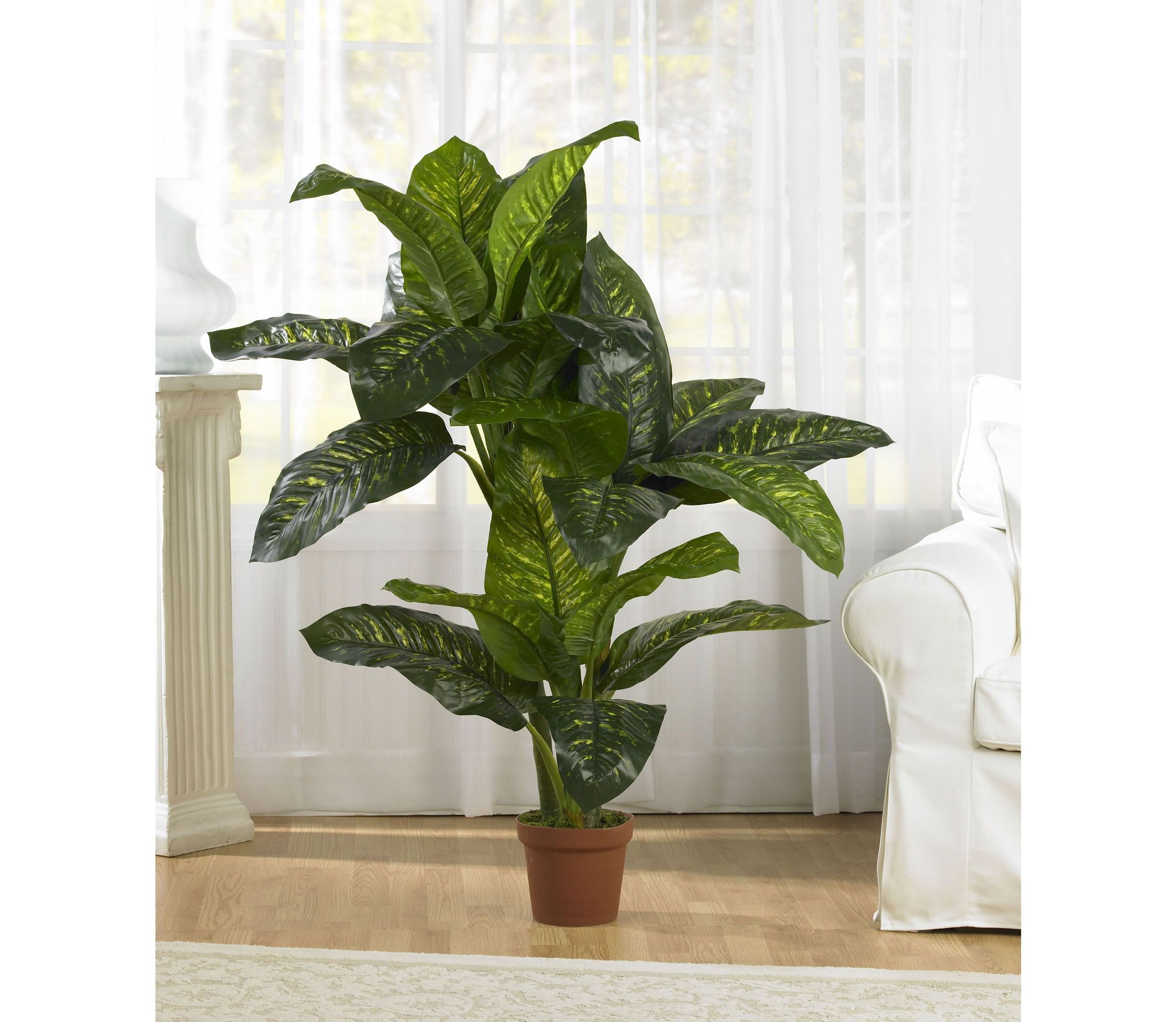 5 Dieffenbachia Silk Plant (Real Touch)