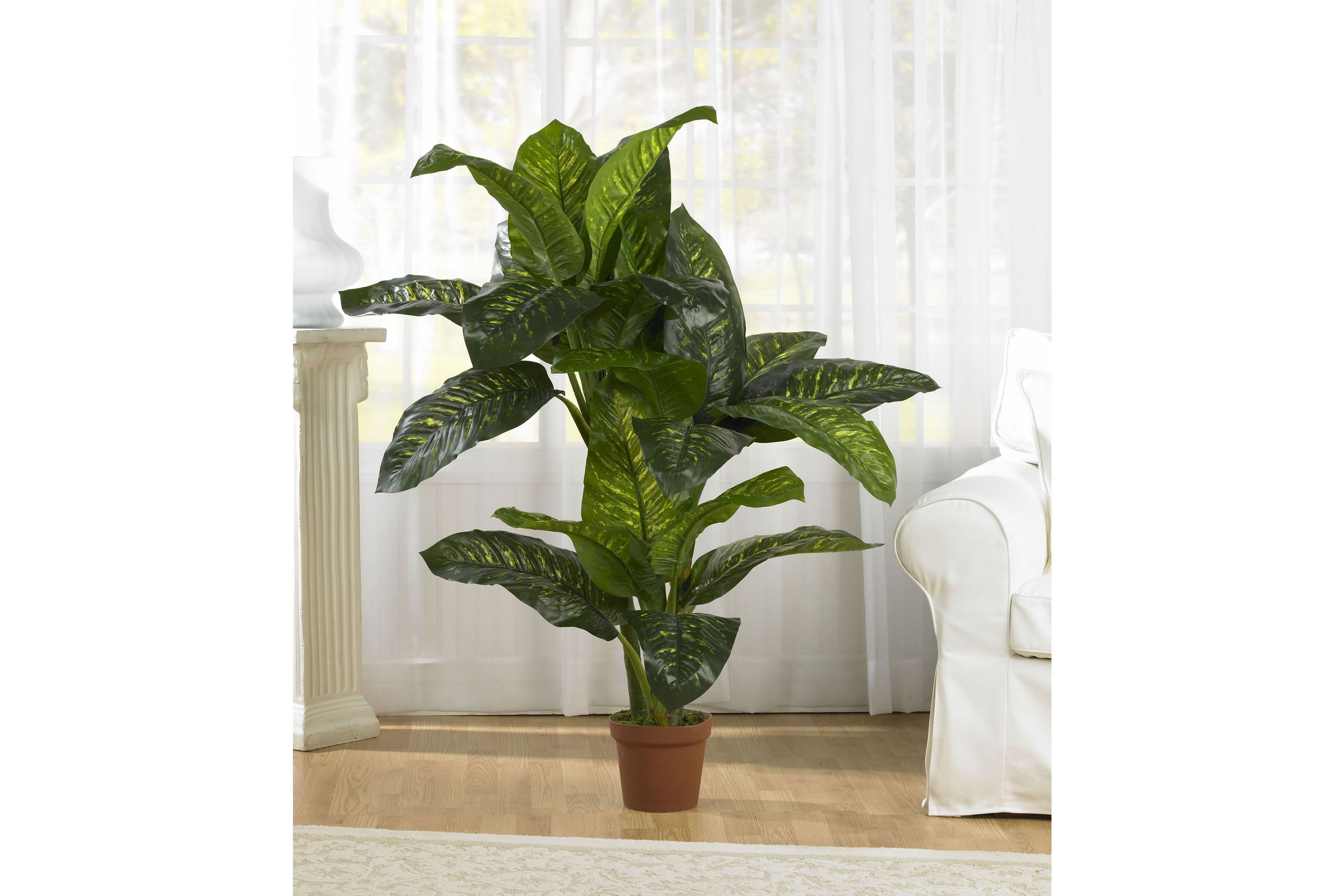 5 Dieffenbachia Silk Plant (Real Touch)