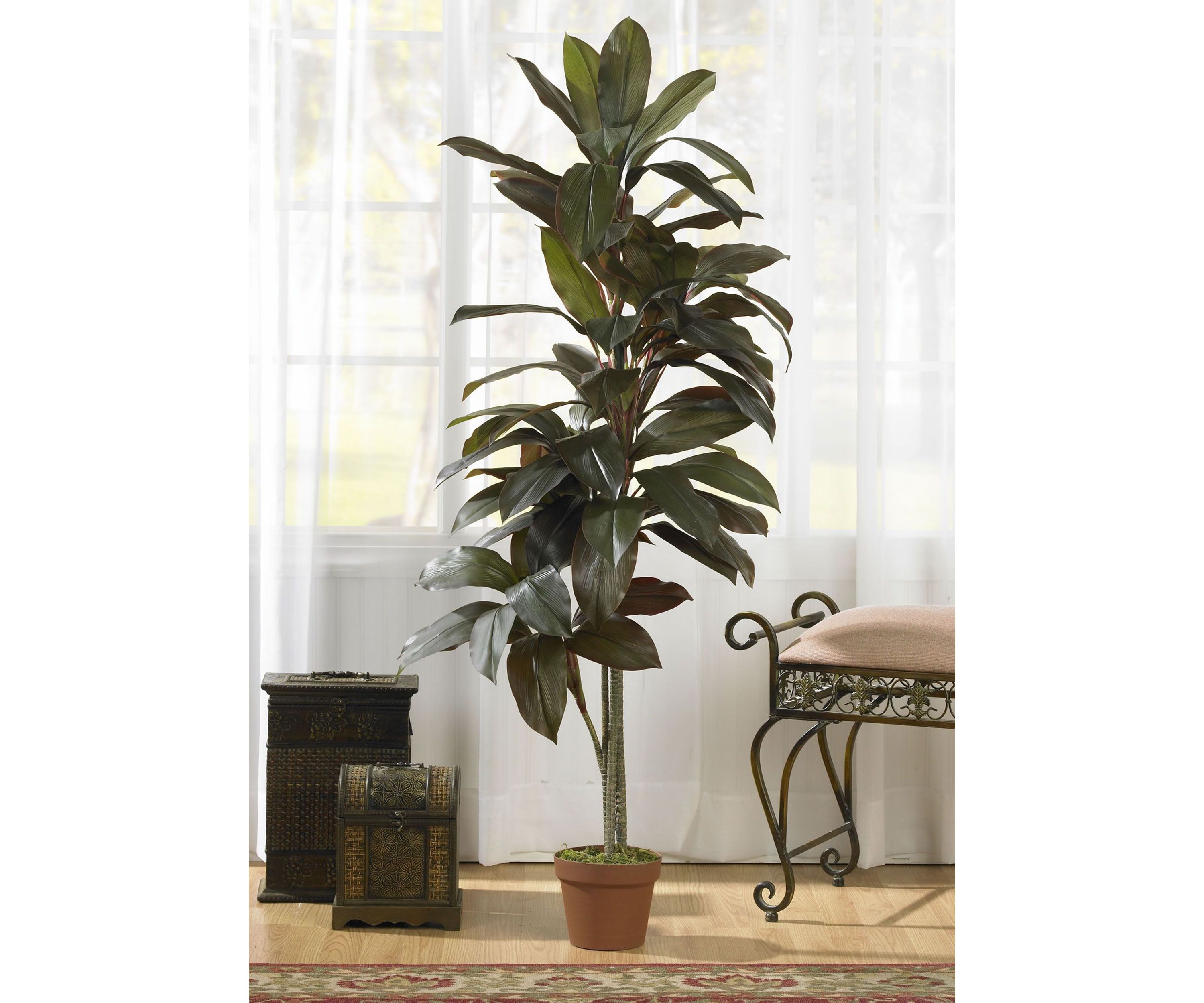 5 Cordyline Real Touch Silk Plant 