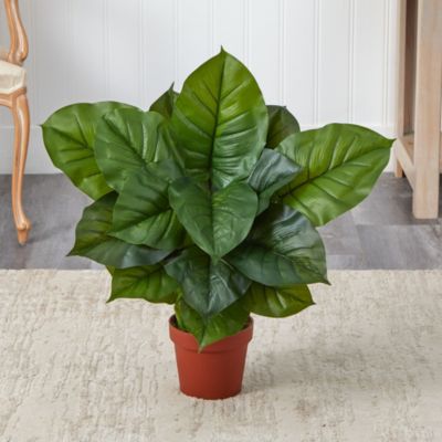 Large Leaf Philodendron Silk Plant - Real Touch