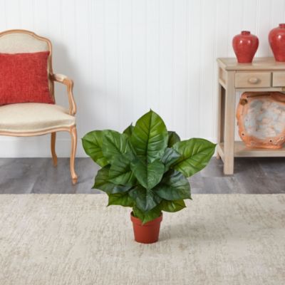 Large Leaf Philodendron Silk Plant - Real Touch