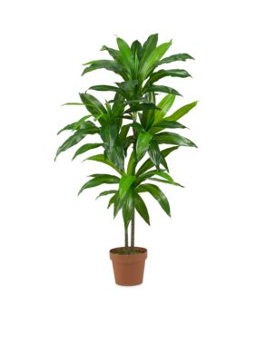 43-in. Real Touch Dracaena Silk Plant