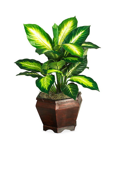 Nearly Natural Golden Dieffenbachia with Wood Vase Silk
