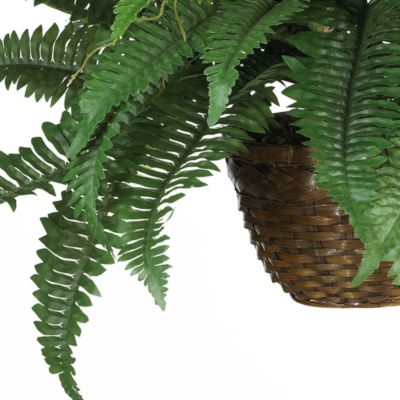 Boston Fern Silk Hanging Basket