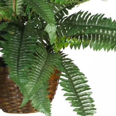 Boston Fern Silk Hanging Basket