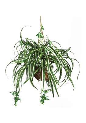 Nearly Natural Spider Hanging Basket Silk Plant, Green