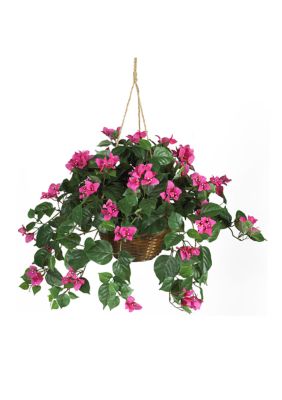 Bougainvillea Hanging Basket Silk Plant