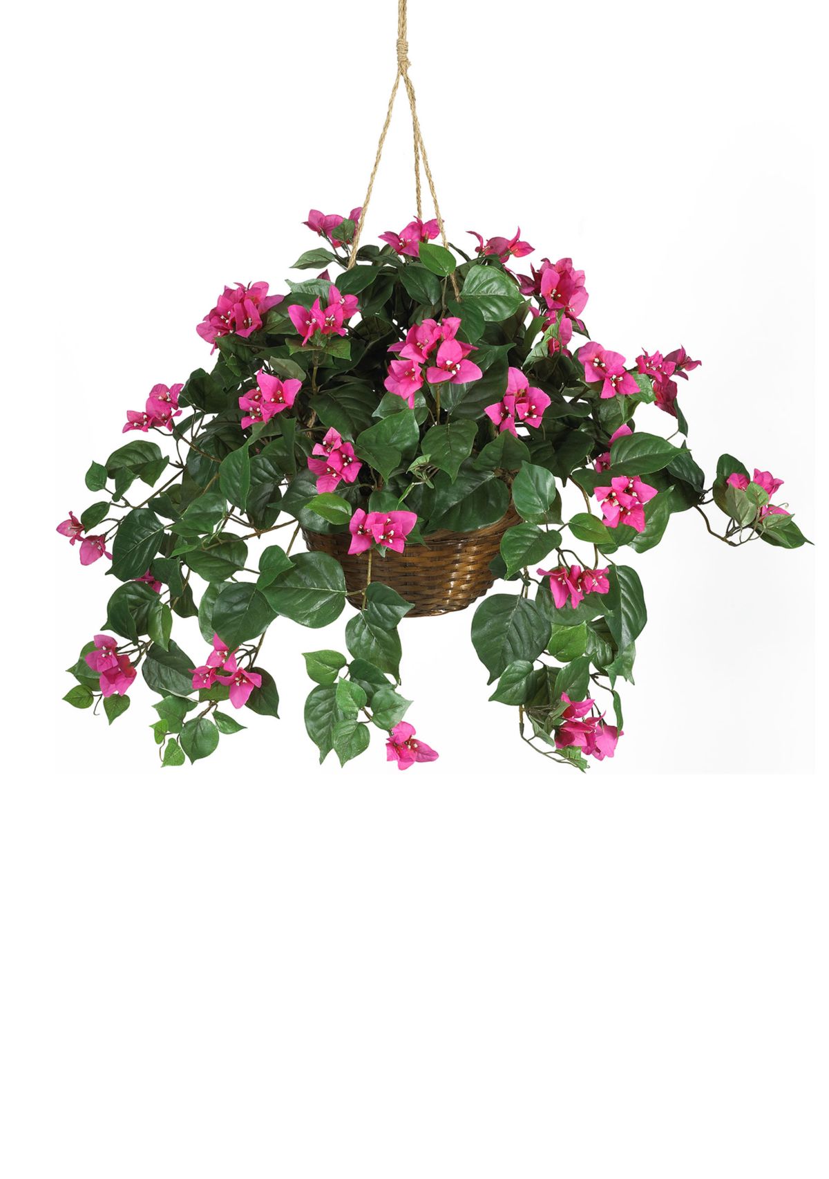 Bougainvillea Hanging Basket Silk Plant