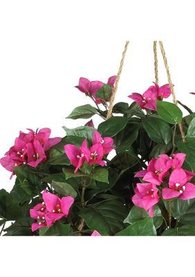 Bougainvillea Hanging Basket Silk Plant