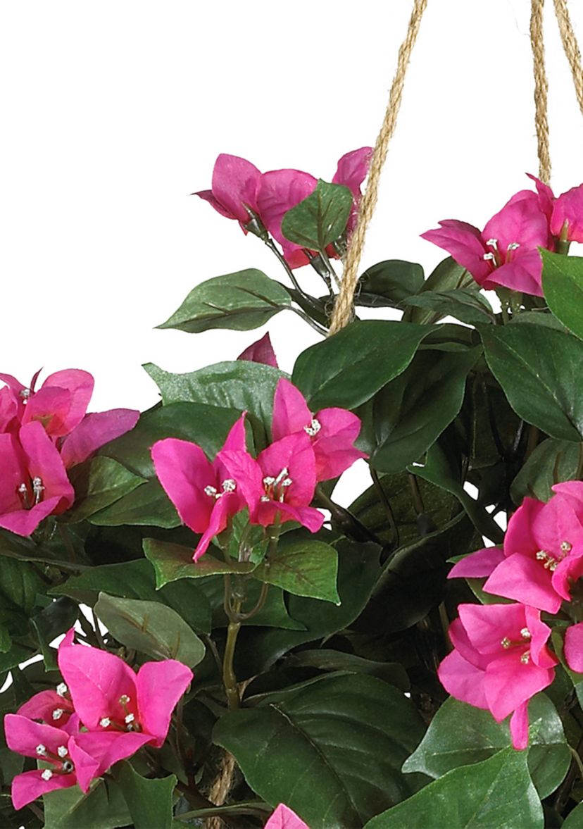 Bougainvillea Hanging Basket Silk Plant