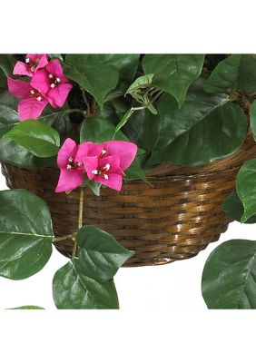 Bougainvillea Hanging Basket Silk Plant