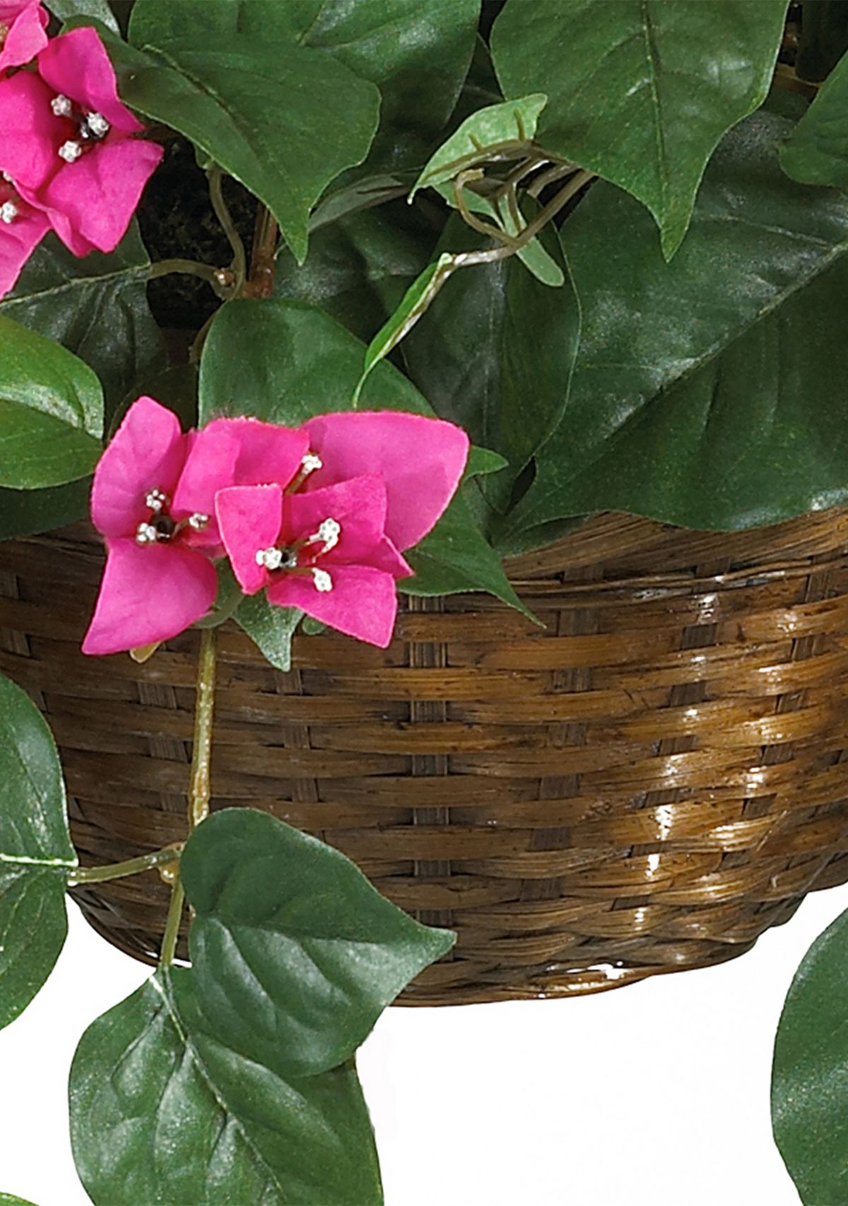 Bougainvillea Hanging Basket Silk Plant