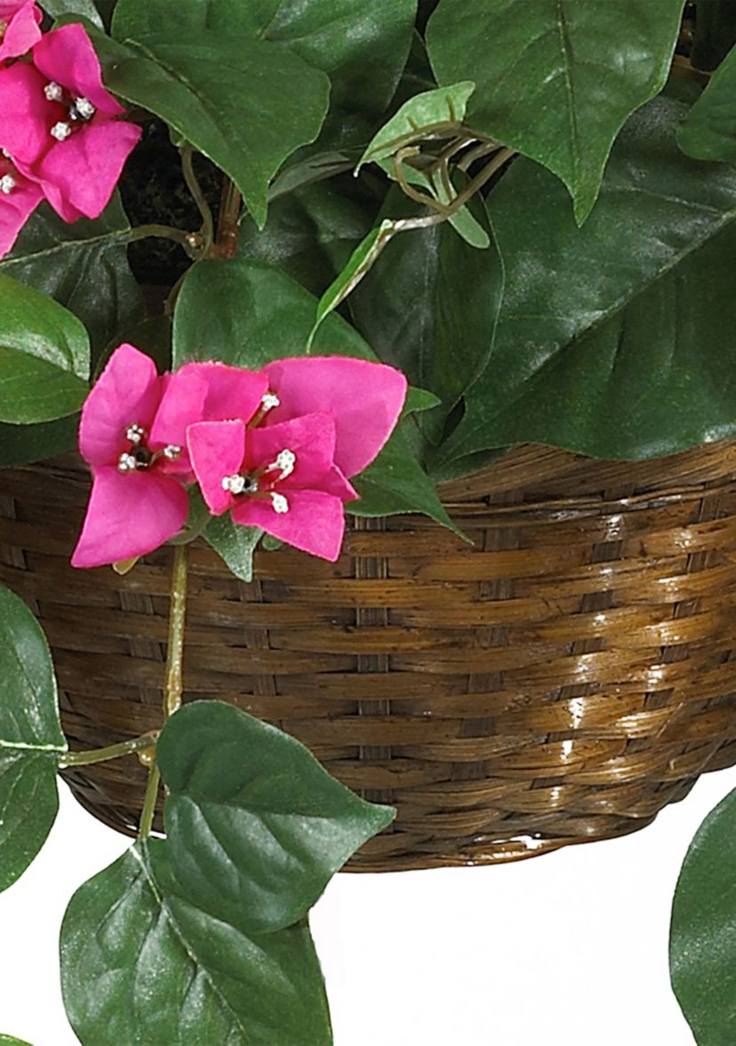 Bougainvillea Hanging Basket Silk Plant