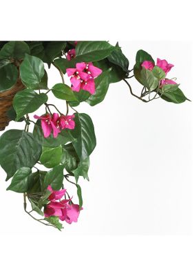 Bougainvillea Hanging Basket Silk Plant