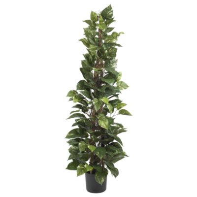 Nearly Natural 63 Inch Pothos Climbing Silk Plant, Green