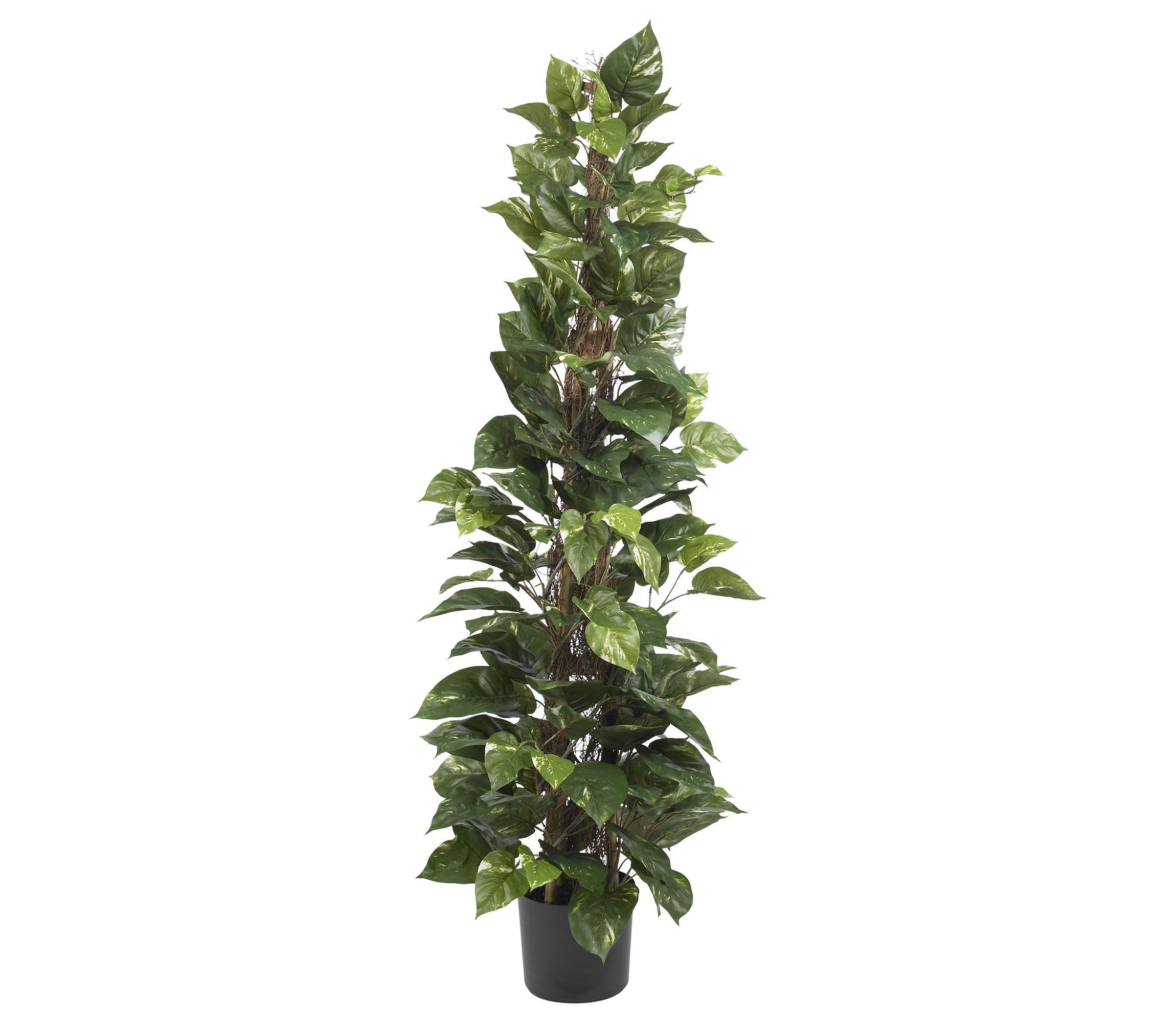 63 Inch Pothos Climbing Silk Plant