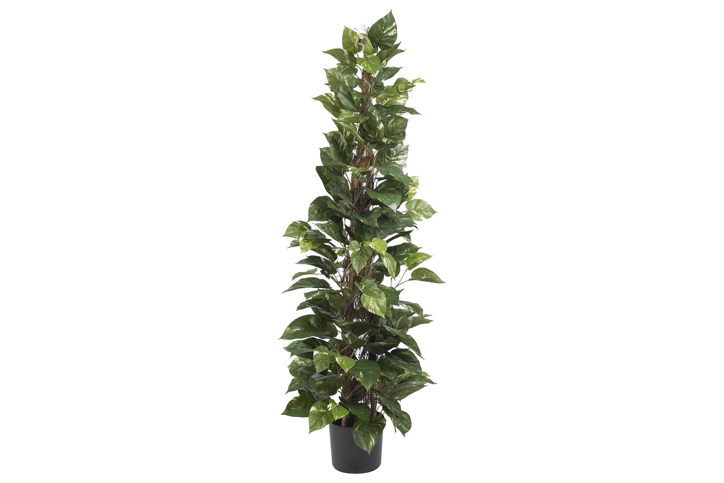 63 Inch Pothos Climbing Silk Plant