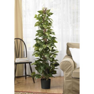 63 Inch Pothos Climbing Silk Plant