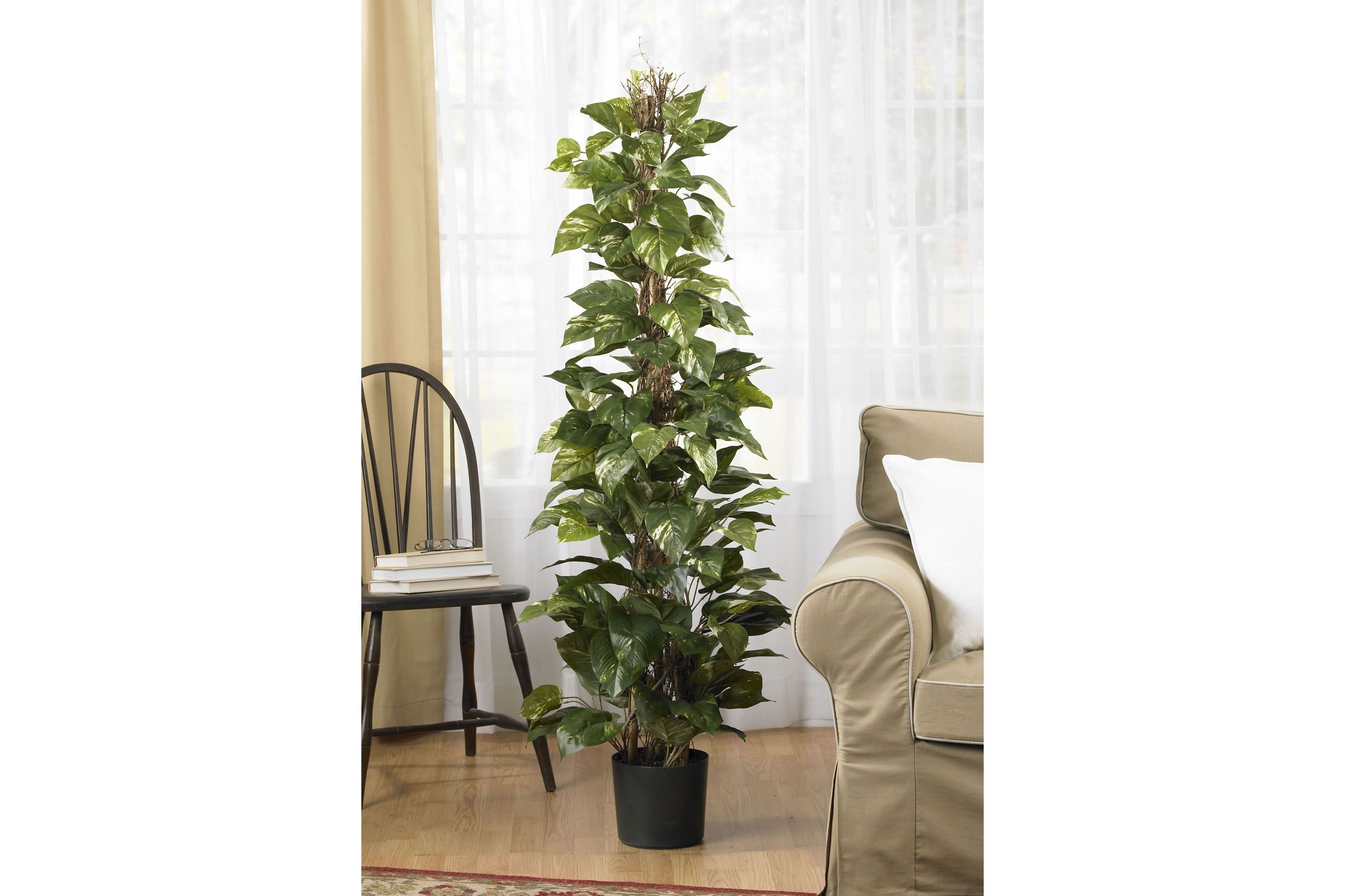 63 Inch Pothos Climbing Silk Plant