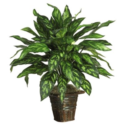 Nearly Natural Silver King with Basket Silk Plant, Green