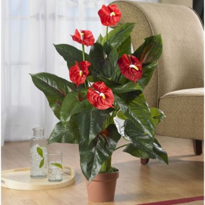 3' Anthurium Silk Plant (Real Touch) 