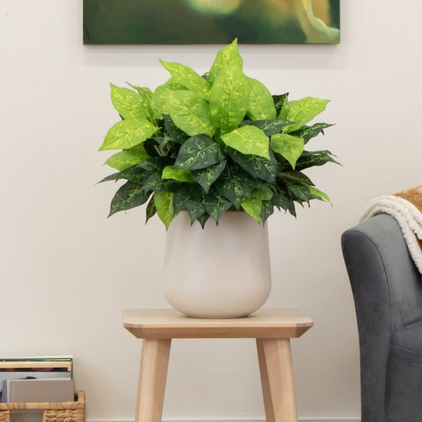 19-Inch  Artificial Dieffenbachia Plant - Set of 6