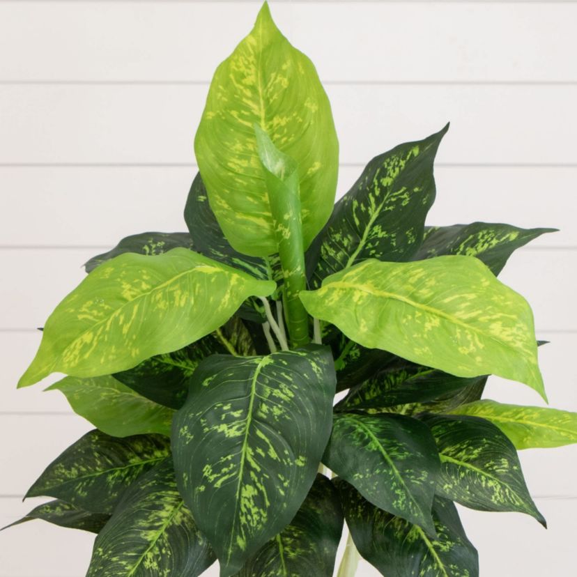 19-Inch  Artificial Dieffenbachia Plant - Set of 6