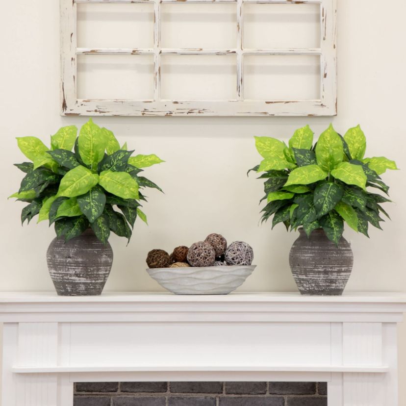 19-Inch  Artificial Dieffenbachia Plant - Set of 6