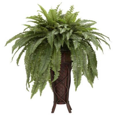 Boston Fern with Stand Silk Plant