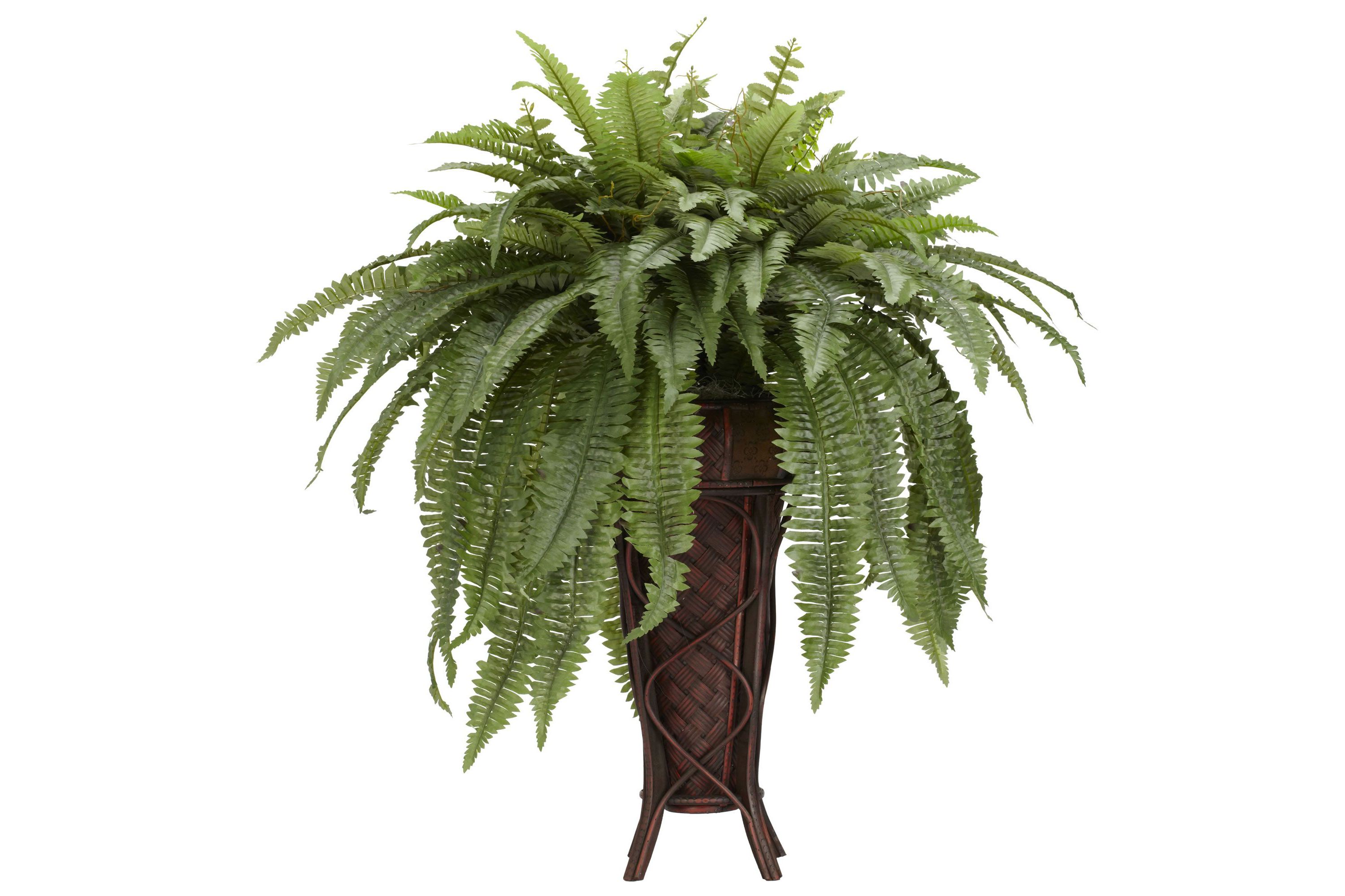 Boston Fern with Stand Silk Plant