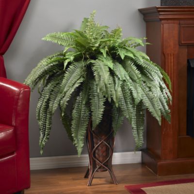 Boston Fern with Stand Silk Plant