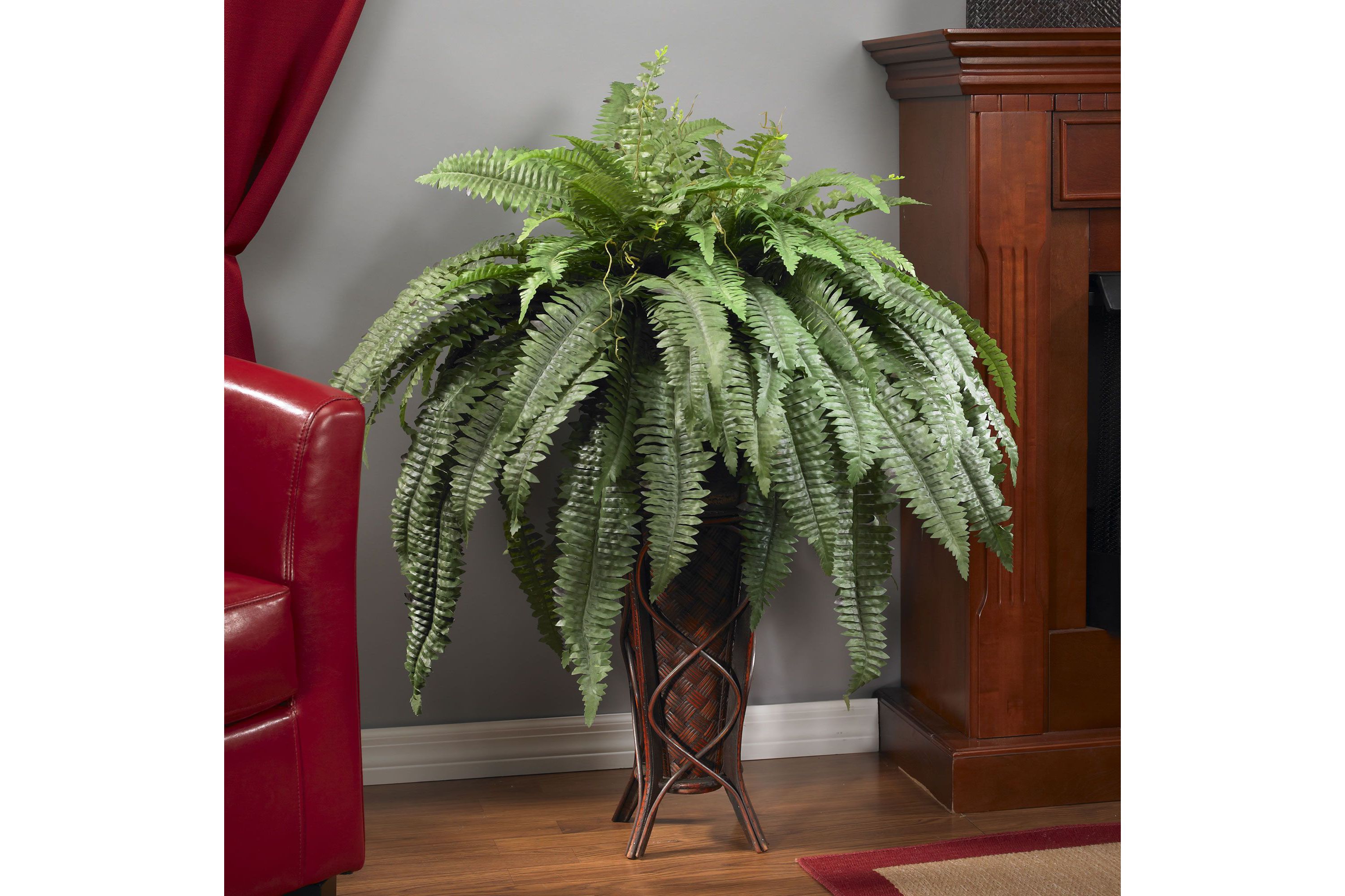 Boston Fern with Stand Silk Plant