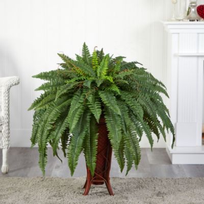 Boston Fern with Stand Silk Plant