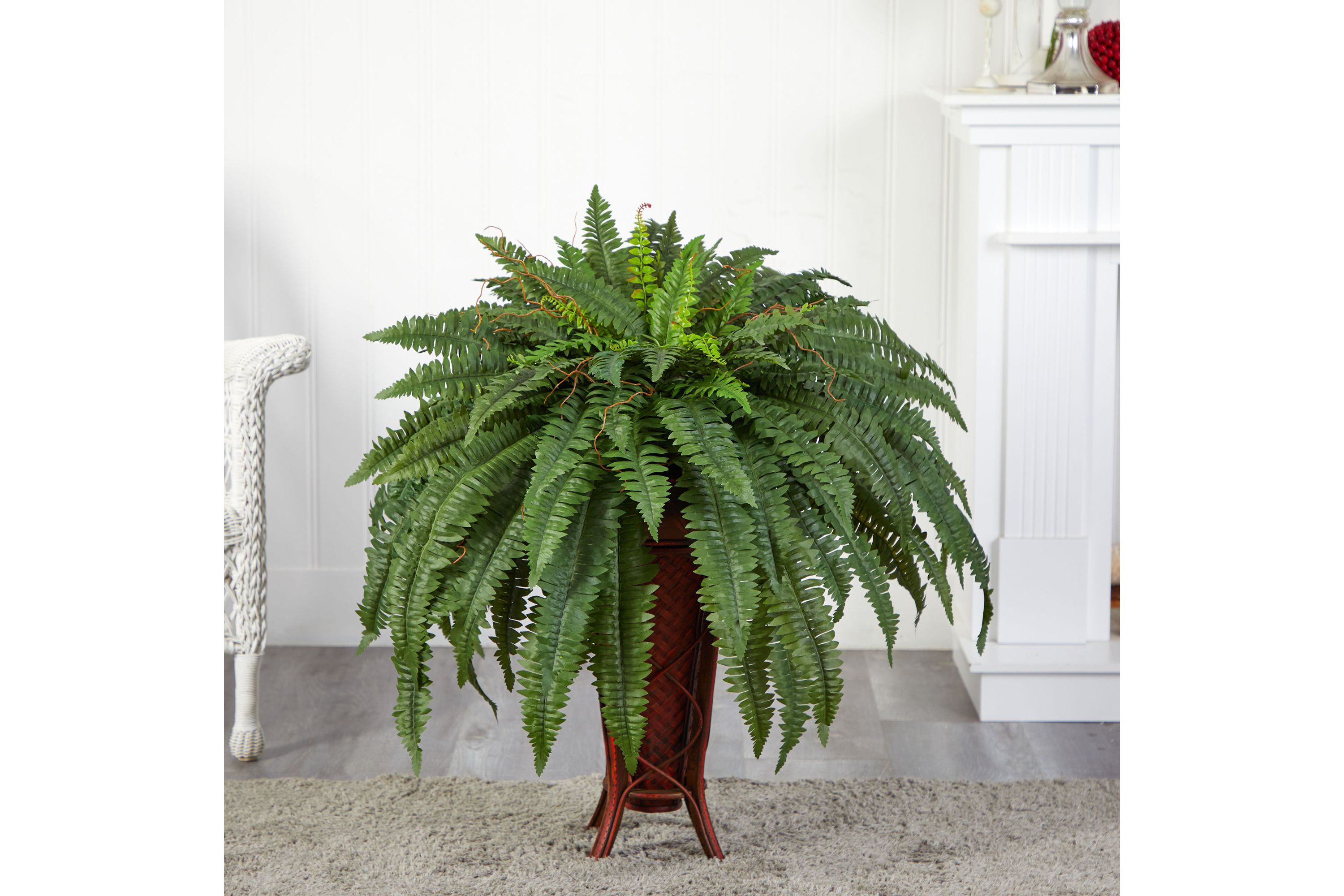 Boston Fern with Stand Silk Plant