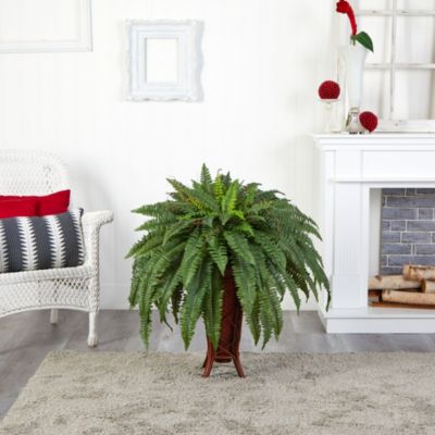 Boston Fern with Stand Silk Plant