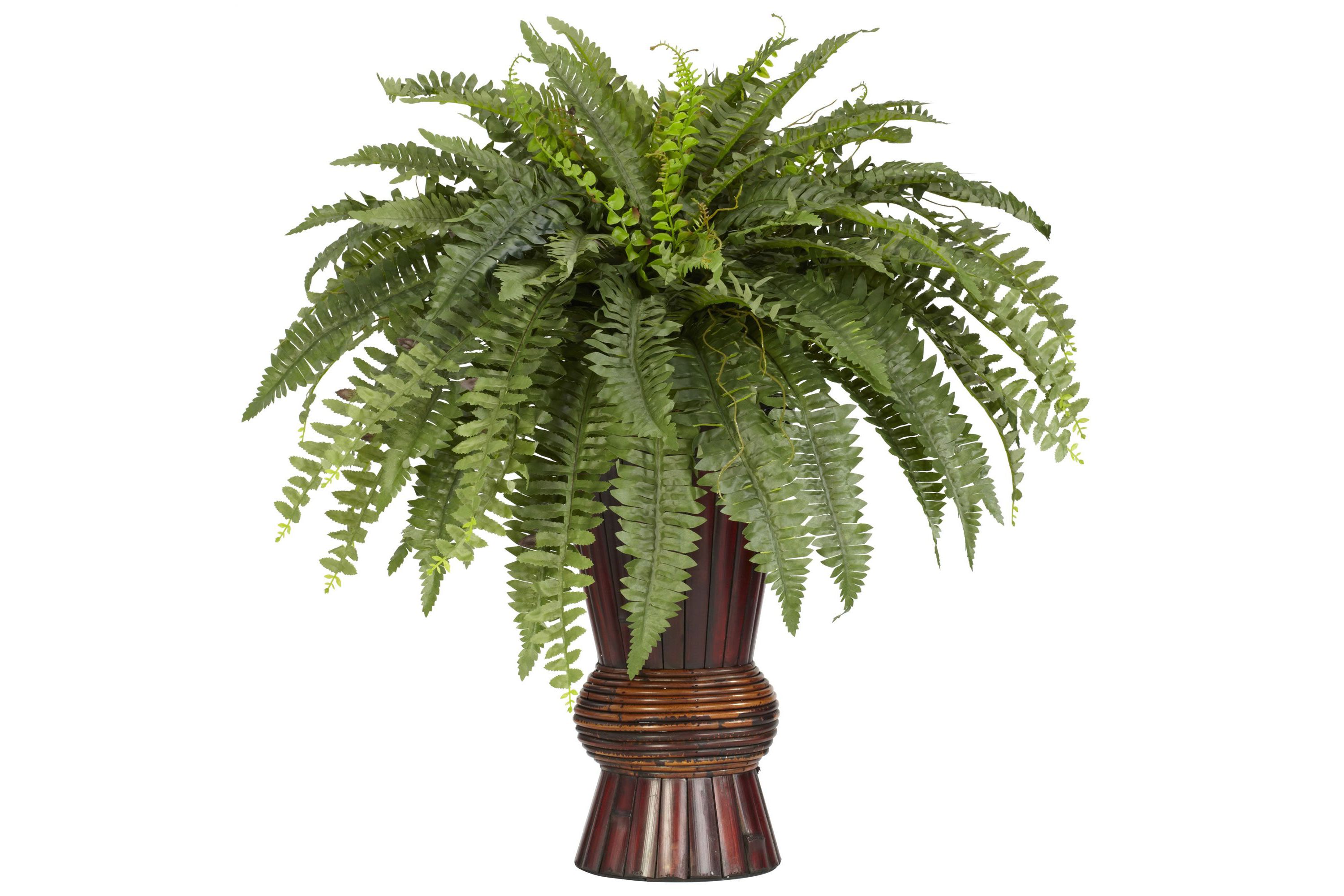 Boston Fern with Bamboo Vase Silk Plant