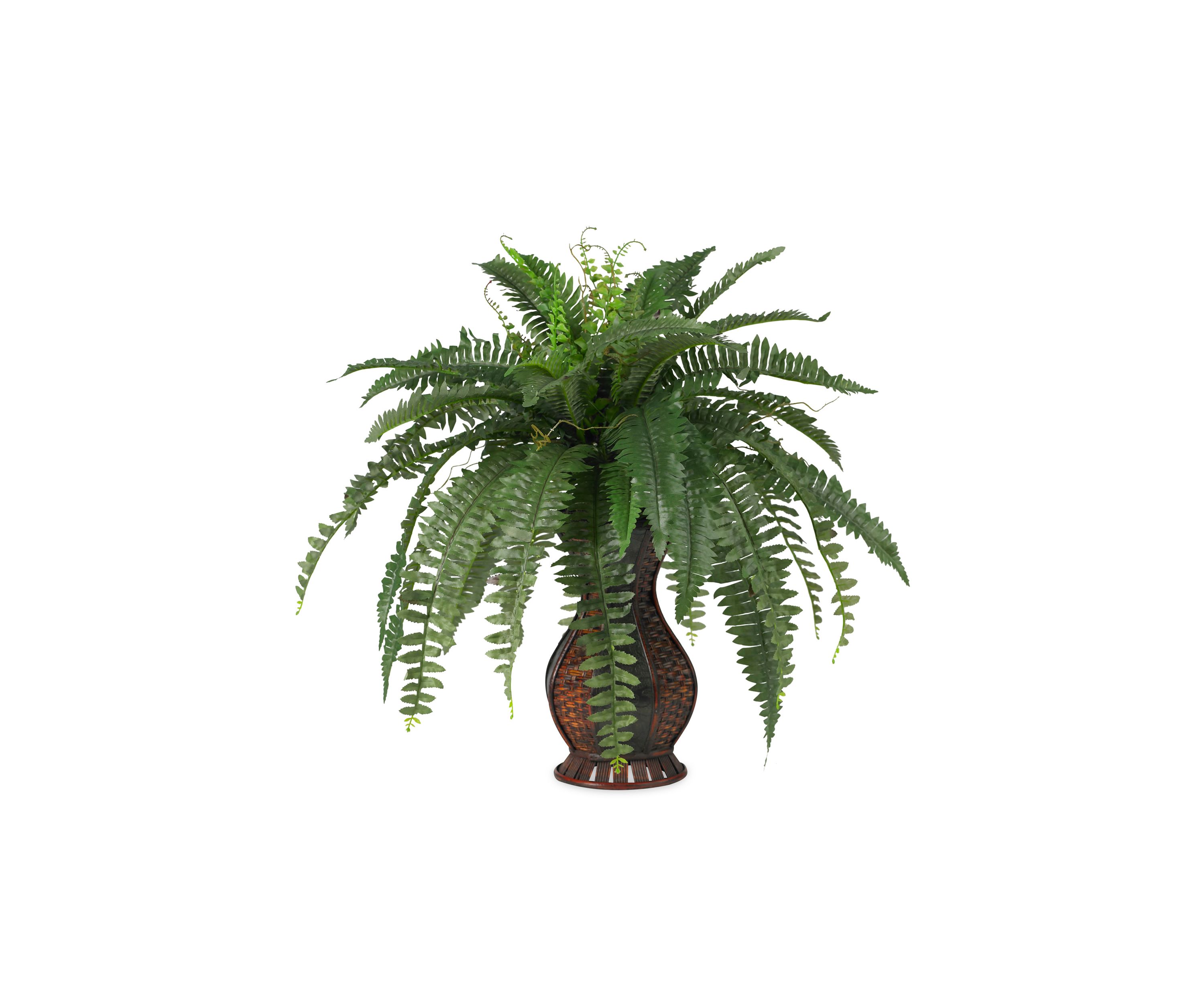 Boston Fern Silk Plant with Urn