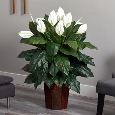 Spathiphyllum with Vase Silk Plant