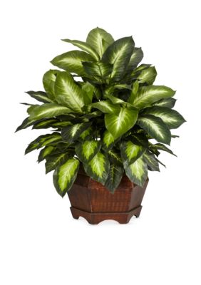 Nearly Natural 24-in. Golden Dieffenbachia Silk Plant, Green
