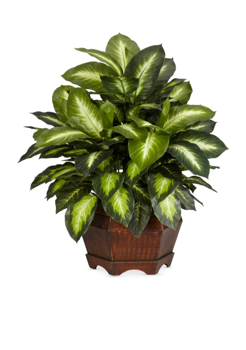 24-in. Golden Dieffenbachia Silk Plant